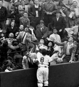 Foul Ball into Stands